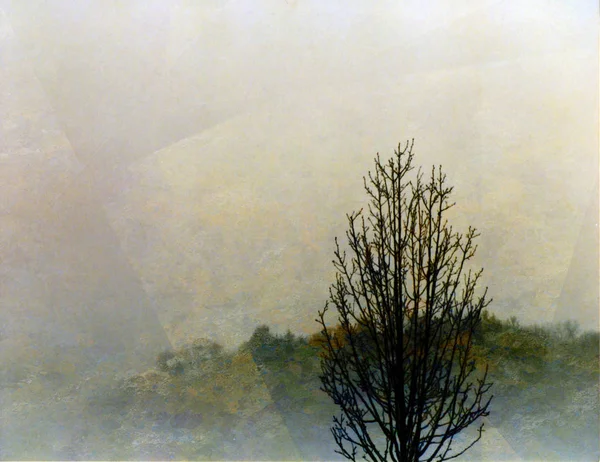 Impressionismen Målade Kompositionen Ensamt Träd — Stockfoto