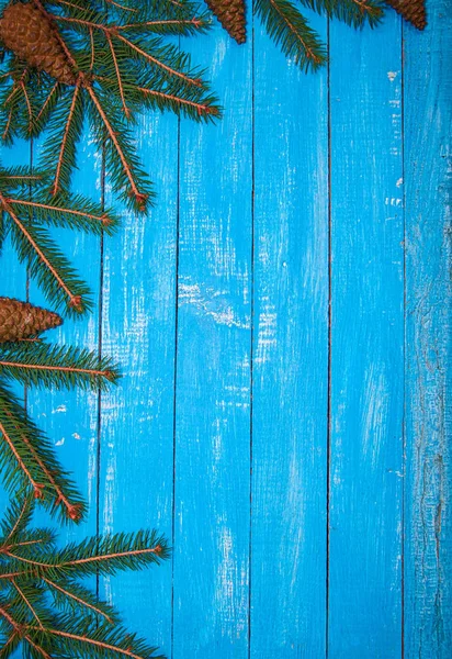 Branches Sapin Vert Avec Des Cônes Sur Une Surface Bleue — Photo