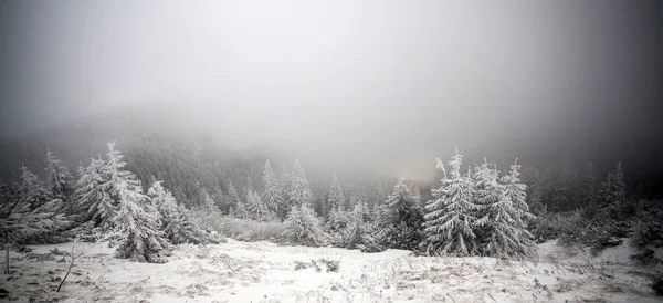 Kerstmis Nieuwjaar Achtergrond Met Winter Bomen Bergen Bedekt Met Verse — Stockfoto