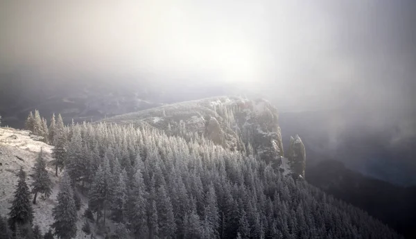 Fondo Navidad Año Nuevo Con Árboles Invierno Montañas Cubiertas Nieve —  Fotos de Stock