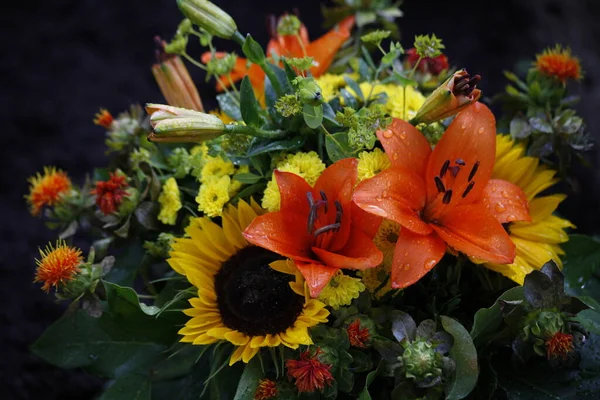 Kupa Kwiatów Flory Botaniki — Zdjęcie stockowe