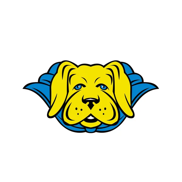 吉祥物风格的插图 一个超级黄色的实验室拉布拉多猎犬狗穿着蓝色斗篷从前面看在孤立的背景在复古风格 — 图库照片