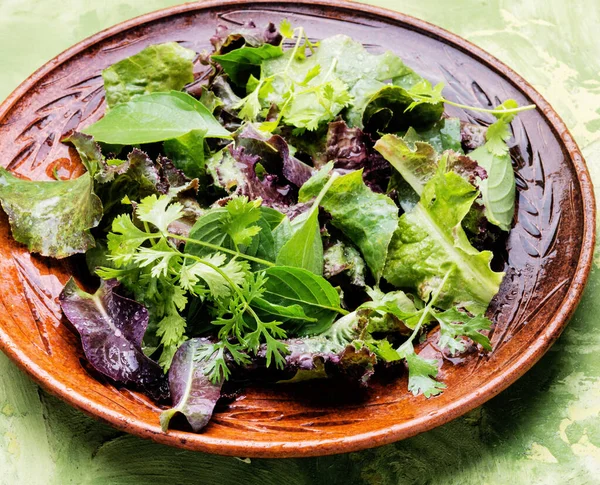 混合緑と新鮮なサラダプレート 健康的な食品 — ストック写真