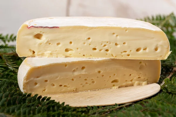 Closeup French Cheese Reblochon Savoie Product — Stock Photo, Image