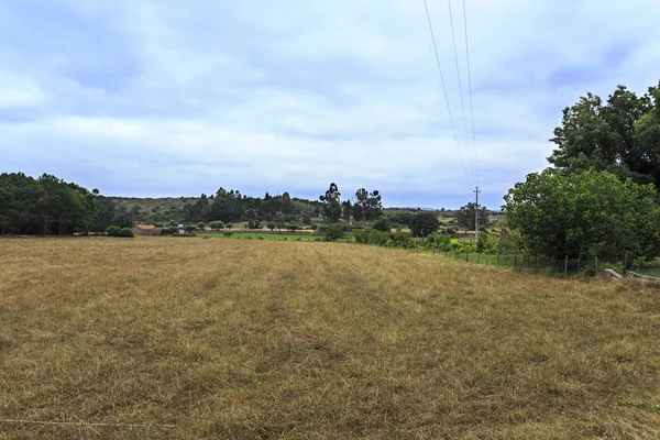 Vista Panorâmica Uma Terra Agrícola País Rural Norte Portugal — Fotografia de Stock