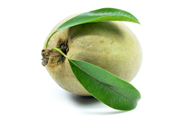 Fresh Sapodilla Tropical Fruit Isolated White Background — Stock Photo, Image