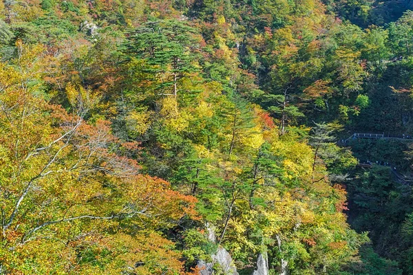 Naruko Gorge Een Van Meest Schilderachtige Kloven Van Regio Tohoku — Stockfoto
