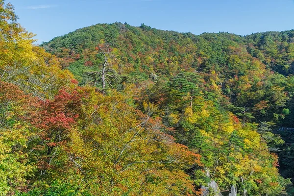 Naruko Gorge Dos Desfiladeiros Mais Cénicos Região Tohoku Ele Está — Fotografia de Stock