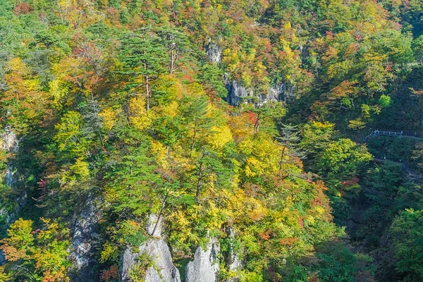 Naruko Gorge Una Las Gargantas Más Pintorescas Región Tohoku Encuentra —  Fotos de Stock
