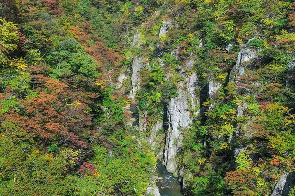 Naruko Boğazı Tohoku Bölgesi Nin Manzaralı Vadilerinden Biridir Kuzeybatı Miyagi — Stok fotoğraf