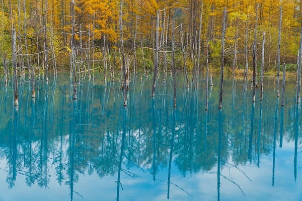 Blue Pond Uma Lagoa Artificial Biei Hokkaido Japão Resultado Obras — Fotografia de Stock