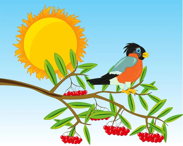 Branch Rowanberry Berry Bird Her — Stock Photo, Image