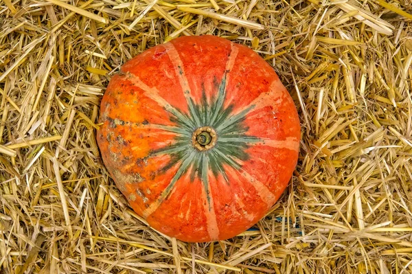 Egyedülálló Tök Haystack Farm Dekoráció Őszi Őszi Szezonális Narancs Friss — Stock Fotó