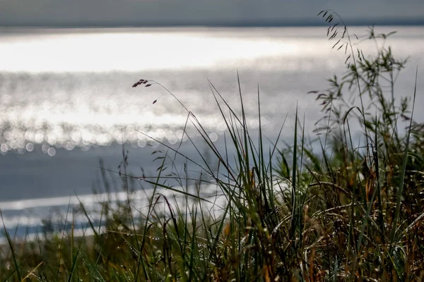 Kust Met Gras Oostzee Landschap Van Oostzeekust Met Glinsterend Water — Stockfoto