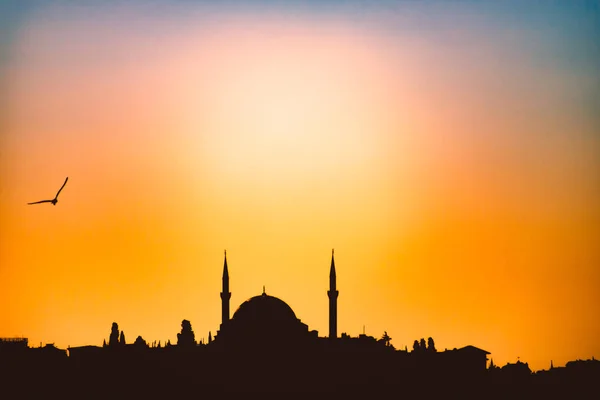 Silhouet Van Het Ottomaanse Keizerlijke Moskee Bij Zonsondergang Istanboel Turkije — Stockfoto