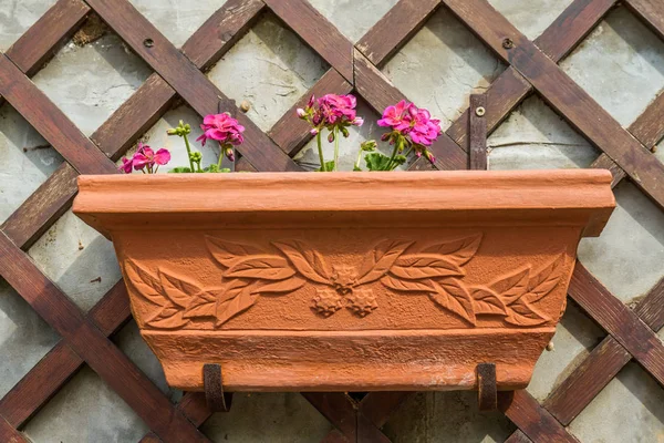 Декоративный Цветочный Горшок Деревянной Стене — стоковое фото