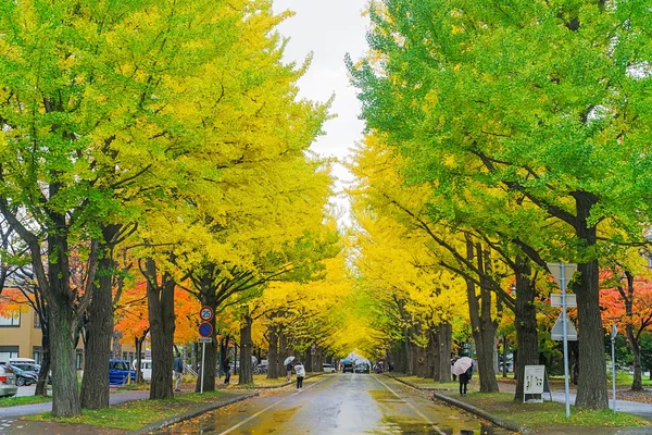 Uma Das Árvores Mais Famosas Outono Japonês Ginkgo Uma Avenida — Fotografia de Stock