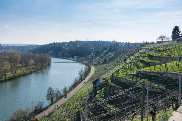 European River Max Eyth See Stuttgart Vineyards Sunny Landscape Lindos — Fotografia de Stock