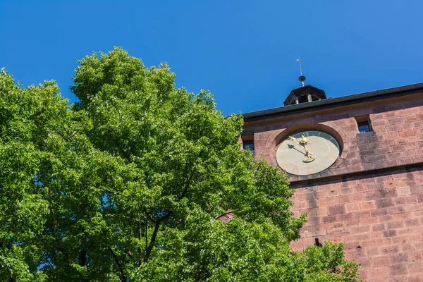 Heidelberg Schloss — 스톡 사진