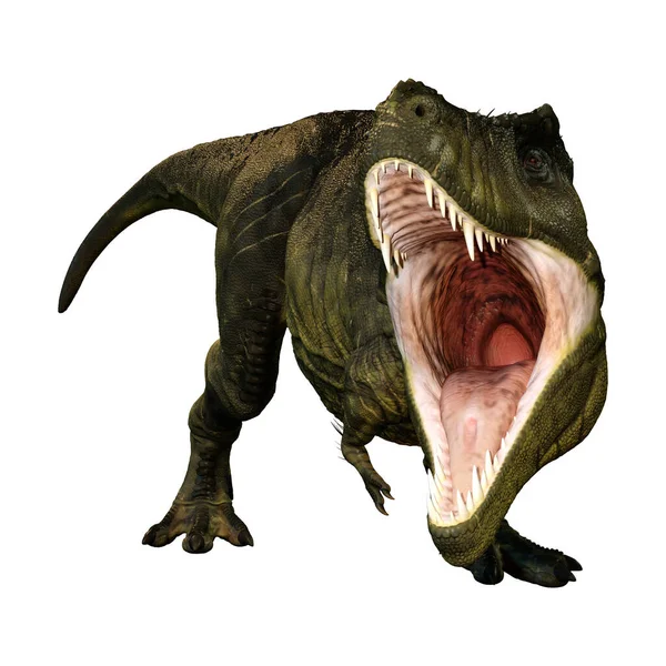 Renderização Dinossauro Tyrannosaurus Rex Isolado Fundo Branco — Fotografia de Stock