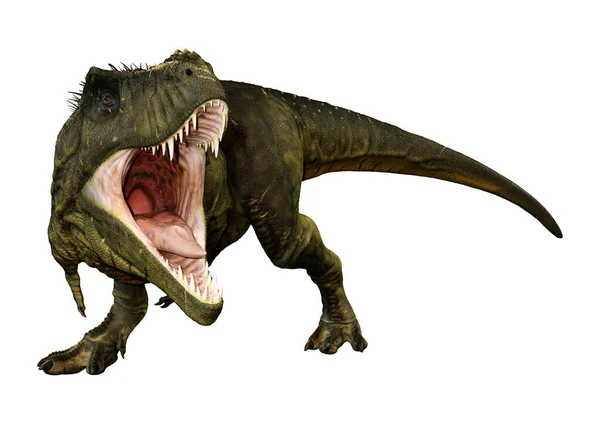 Renderização Dinossauro Tyrannosaurus Rex Isolado Fundo Branco — Fotografia de Stock