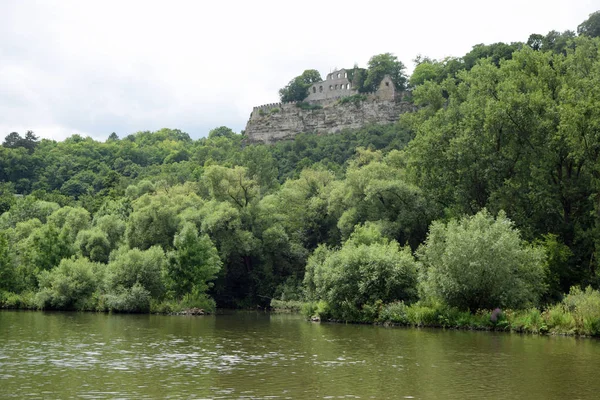 Vue Sur Rivière Dans Forêt — Photo