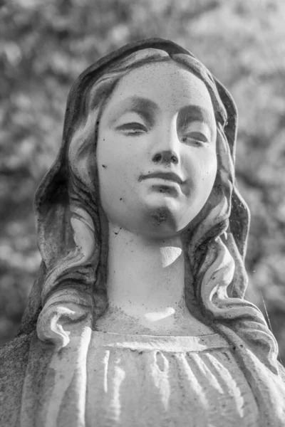 Estatua Virgen María Sobre Fondo Borroso Desenfocado Ideal Para Conceptos — Foto de Stock