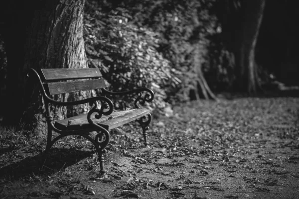 Banco Parque Cementerio Blanco Negro Tiro Detallado — Foto de Stock