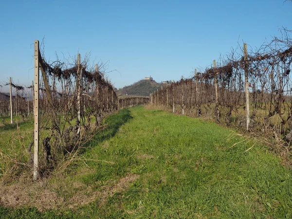 Vista Das Colinas Roero Piemonte Famosa Por Suas Vinhas Para — Fotografia de Stock