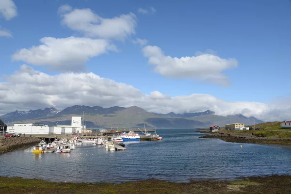 Puerto Djupivogur Islandia — Foto de Stock