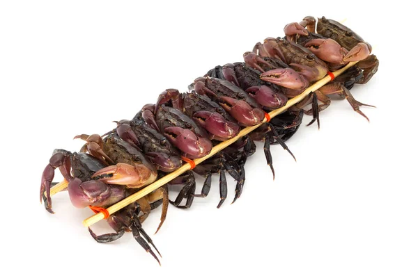 Bliska Skewered Krabów Tradycyjne Jedzenie Azji — Zdjęcie stockowe