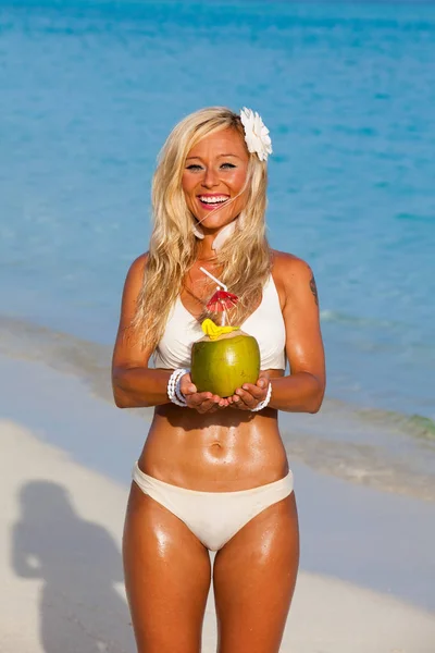 코코넛을 해변에 — 스톡 사진