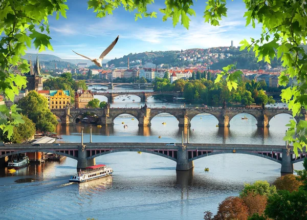 Vista Los Puentes Fila Sobre Río Moldava Praga — Foto de Stock