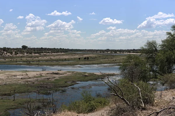 Пейзаж Реке Ботети Национальный Парк Макгадикгади Ботсвана Африка — стоковое фото