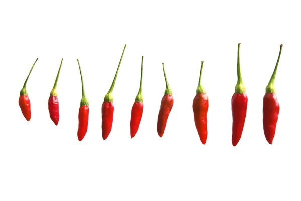 Malé Chilli Papričky Zblízka Izolované Bílém Pozadí Složky Jídla Čerstvá — Stock fotografie