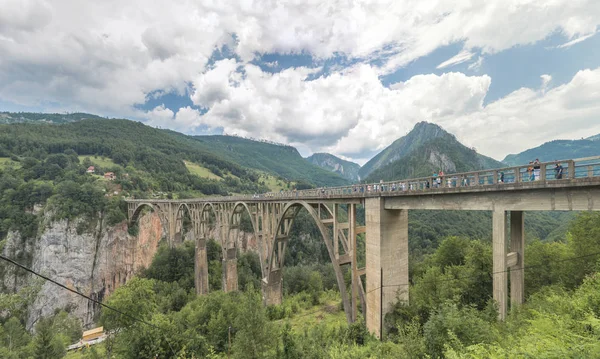 Rio Tara Montenegro 2018 Vista Panorâmica Ponte Djurdjevic Desfiladeiro Rio — Fotografia de Stock