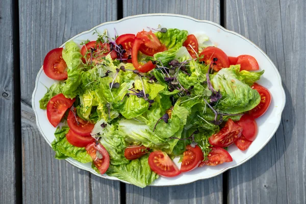 Campuran Salad Musim Panas Piring Dan Tanah Kayu — Stok Foto