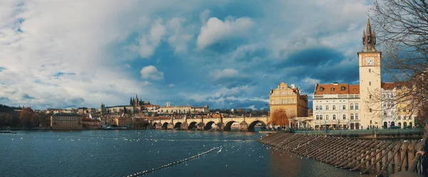聖ヴィート大聖堂 プラハ城 ヴルタヴァ川の眺めクリスマスの到来 プラハの街並み チェコ共和国2018 — ストック写真