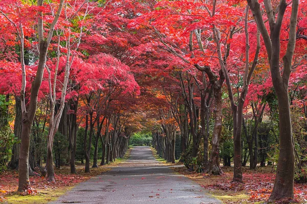 Zdjęcie Zostało Zrobione Hiraoka Tree Art Center Sapporo Hokkaido Japonia — Zdjęcie stockowe