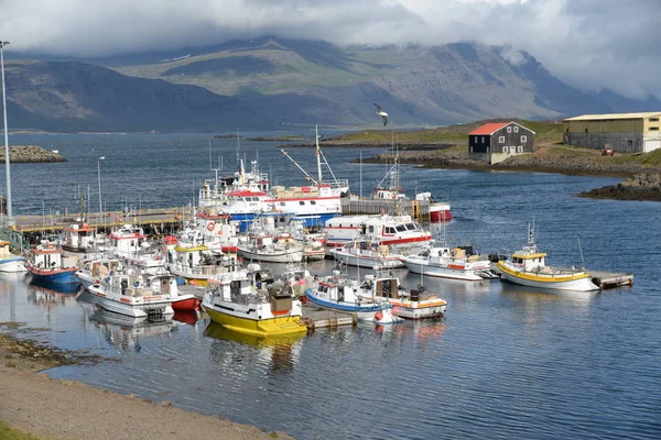 Port Djupivogur Islandia Obraz Stockowy