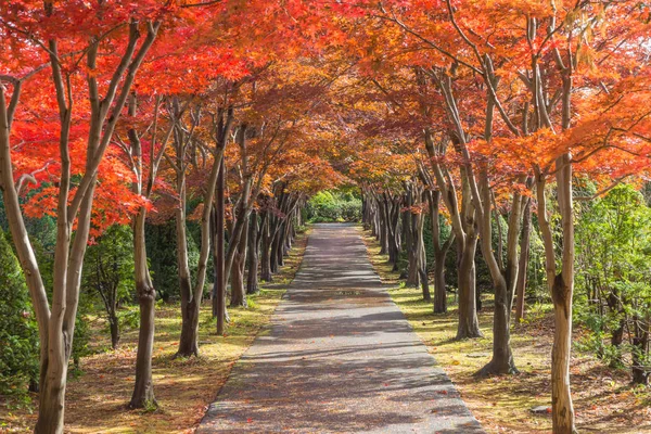 Dieses Foto Wurde Vom Hiraoka Tree Art Center Sapporo Hokkaido — Stockfoto