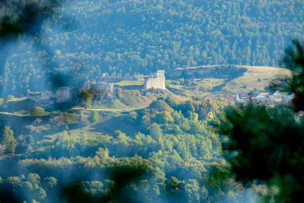 Вид Замок Боппель Лесом Германии Летом — стоковое фото