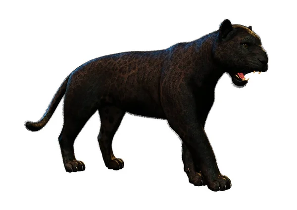Рендеринг Большой Кошки Черная Пантера Изолированы Белом Фоне — стоковое фото