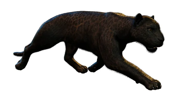 白色背景下孤立的大猫黑豹的3D渲染 — 图库照片