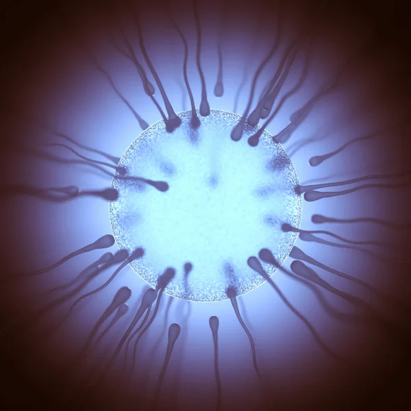 Citra Konseptual Reproduksi Manusia Sperma Mencoba Masuk Dalam Telur — Stok Foto