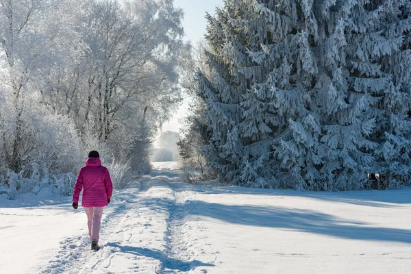 Winter Landscape Snow Γυναικα Forestroad Human Tractor Tracks — Φωτογραφία Αρχείου