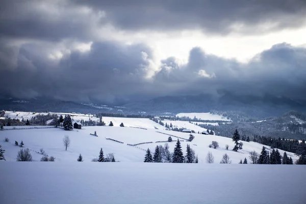 Paisagem Inverno Fadas Nas Montanhas Dos Cárpatos Neve Coberta Pequena — Fotografia de Stock
