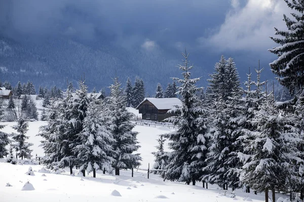 Paisagem Inverno Fadas Nas Montanhas Dos Cárpatos Neve Coberta Pequena — Fotografia de Stock