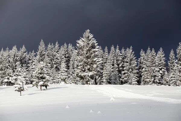 Karácsonyi Újévi Háttér Téli Fák Hegyek Hóval Friss Magic Holiday — Stock Fotó