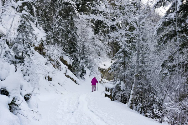 Caminhadas Sopé Dos Alpes — Fotografia de Stock